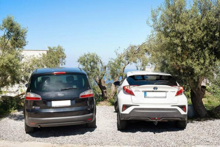 Villas Goudis Tsoukaládhes Zewnętrze zdjęcie